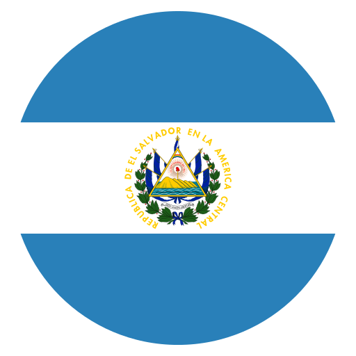 bandera 1